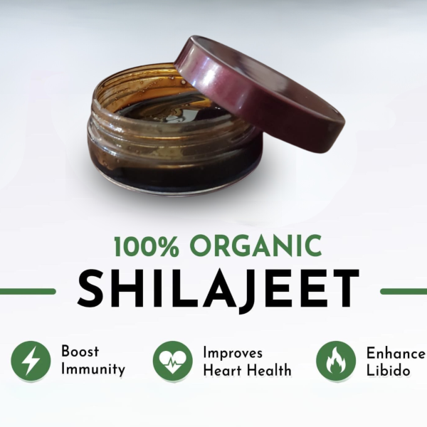 Discover The Natural Power Of Shilajeet