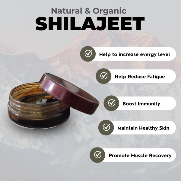 Discover The Natural Power Of Shilajeet